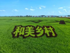 完整的文化脉络付与“九台贡米”十脚底气